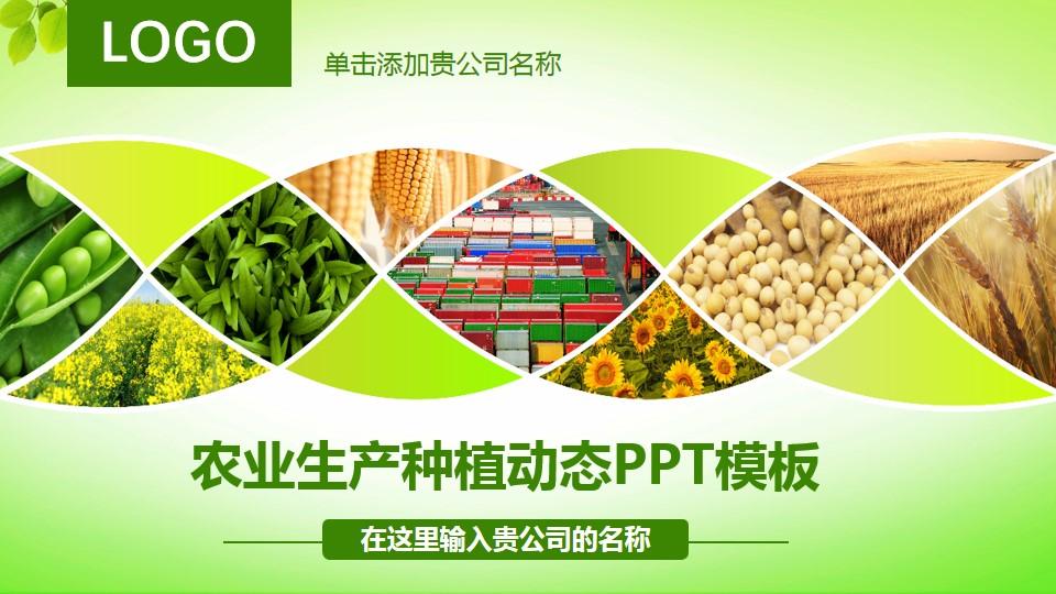 公司名称生产种植动态农村农业云素材PPT模板1670343639579