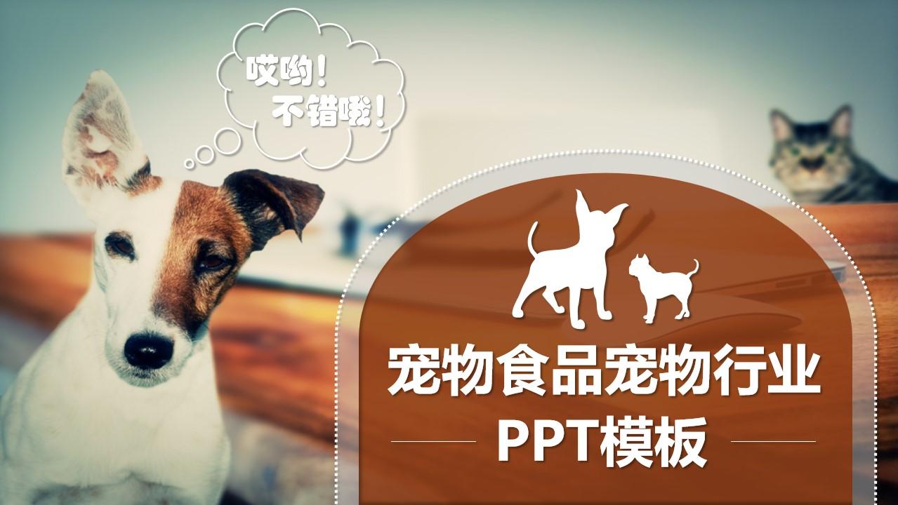 宠物食品宠物行业ppt模板宠物行业云素材PPT模板1670400934089