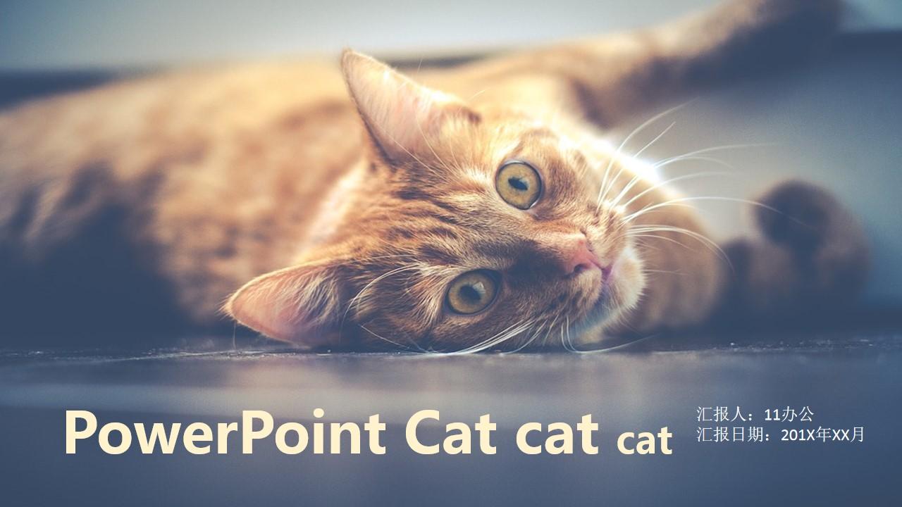 汇报cat办公日期powerpoint宠物行业云素材PPT模板1670401393320