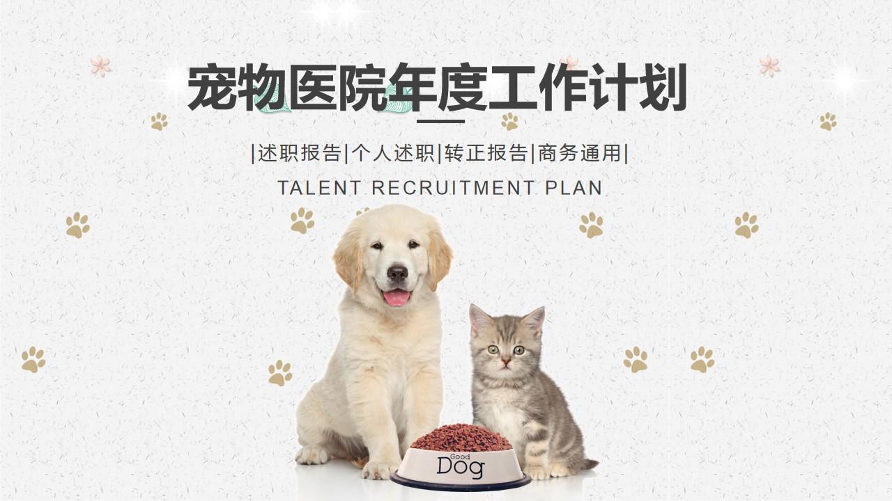 述职报告talent计划plan宠物行业云素材PPT模板1670403711151