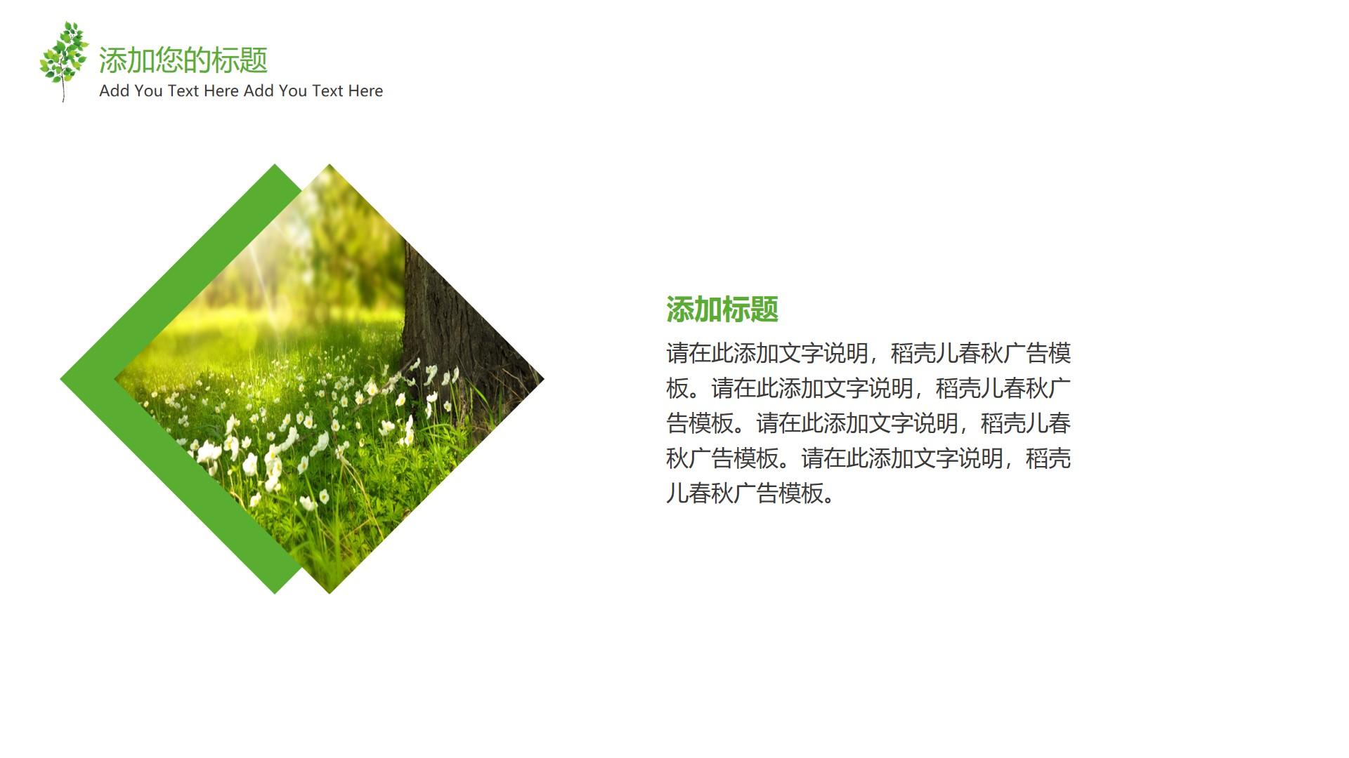 教育教学绿色白色简洁素雅text 稻壳 春秋 广告 add云素材PPT模板1672673877804