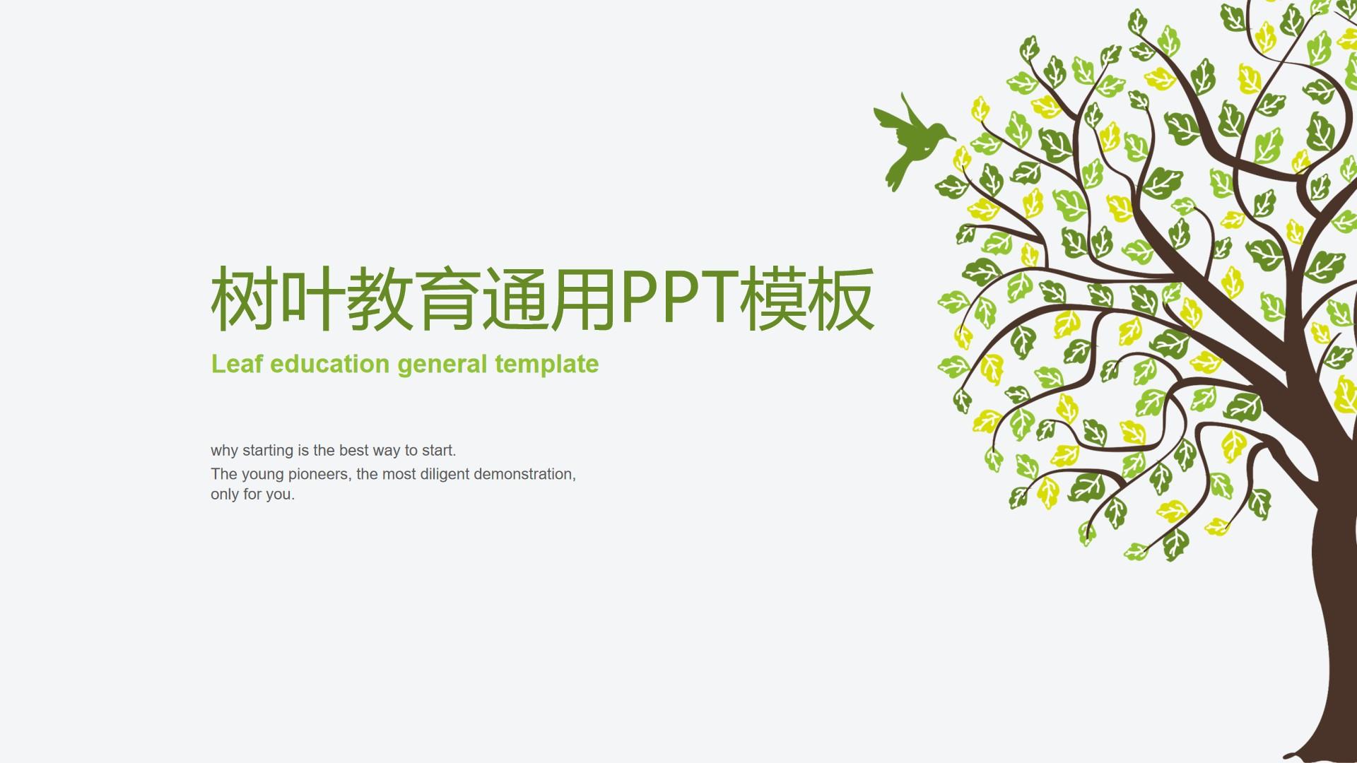 教育教学绿色白色素雅标准简洁模板 leaf ppt education 通用云素材PPT模板1672649578658